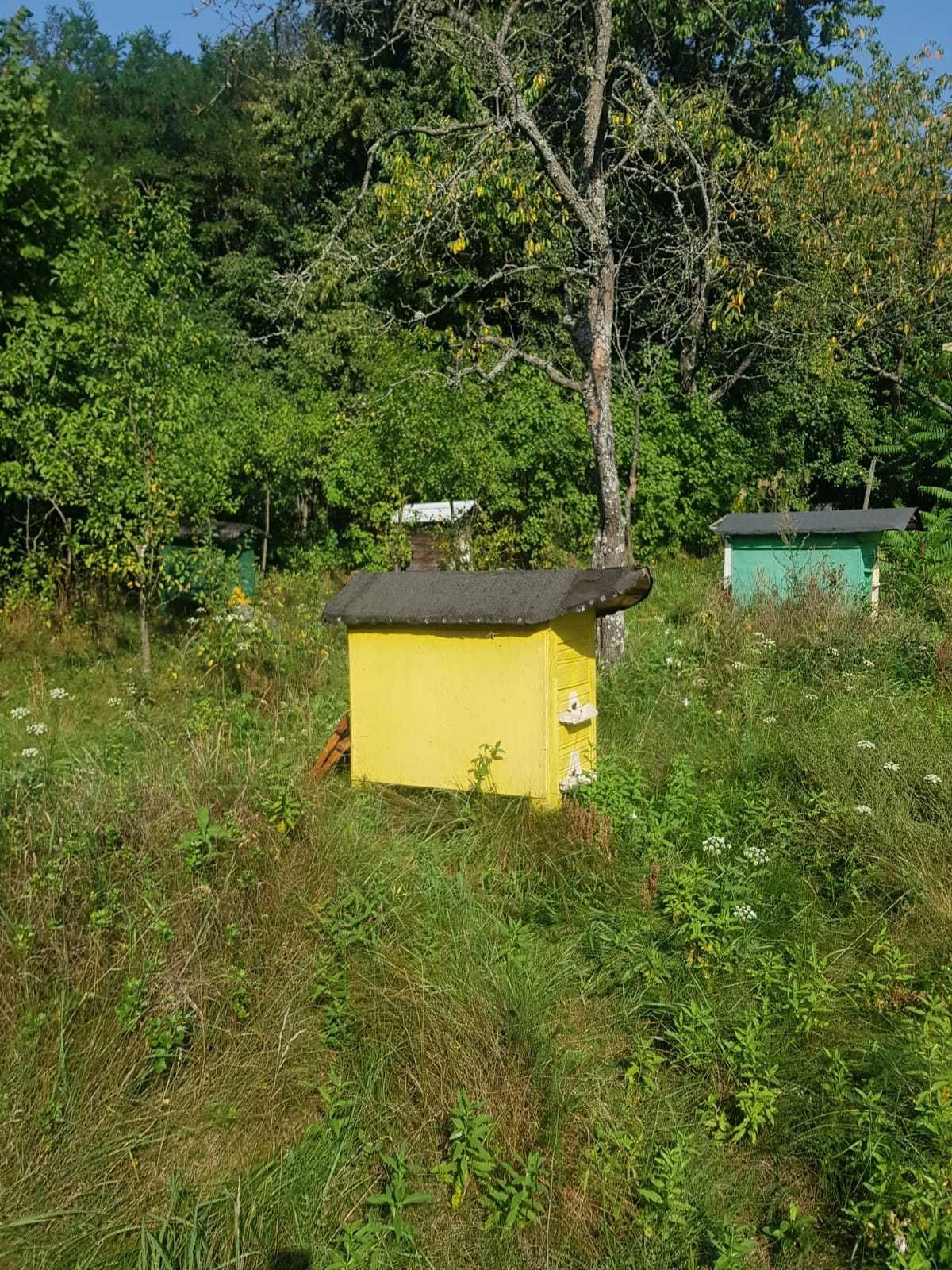 Sprzedam ule z pszczołami- PODLASKIE