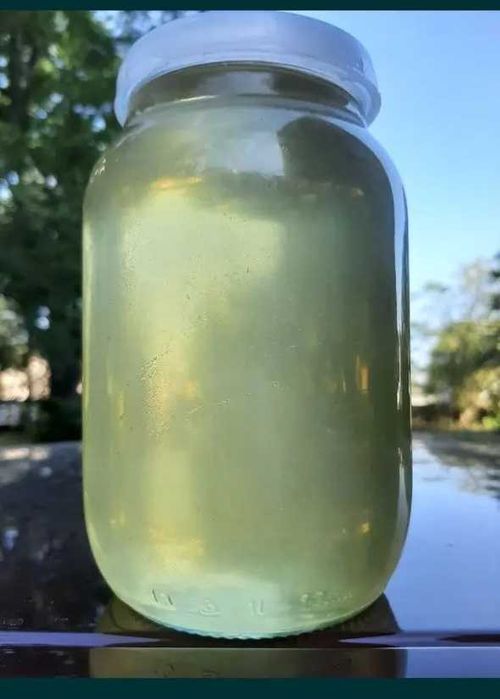 Мед акаційовий. Збір 2024 року