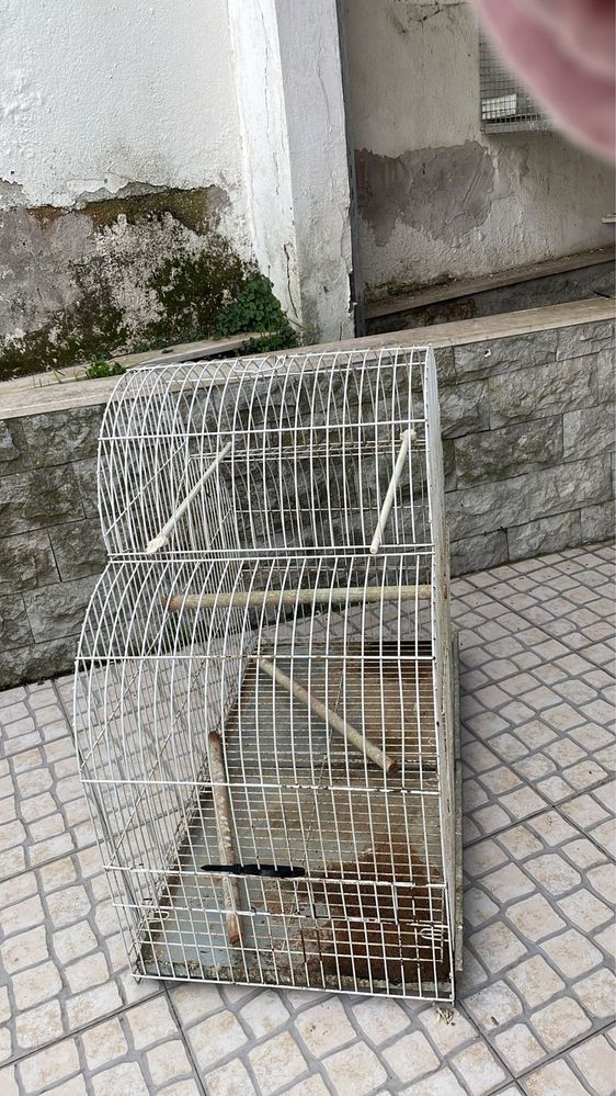 Gaiola caturros