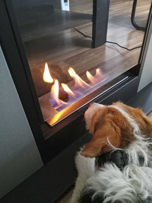 Bio kominek e-kratki WHISKEY