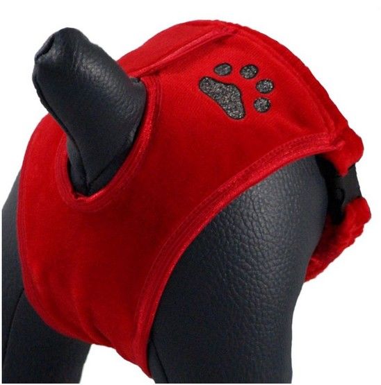 Bawełniane majtki dla suczki w cieczce GrandeFinale Rozmiar 4 Czerwone