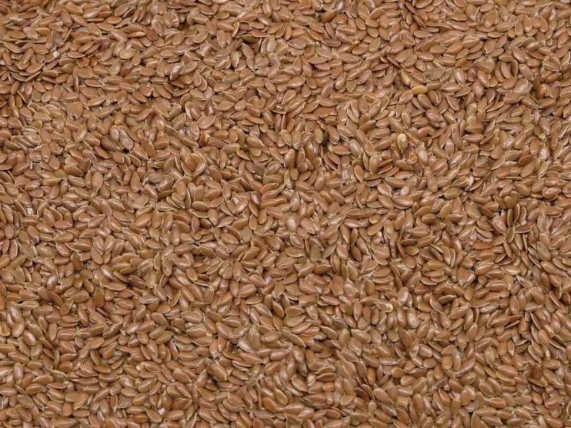 Nasiona ziarna na olej