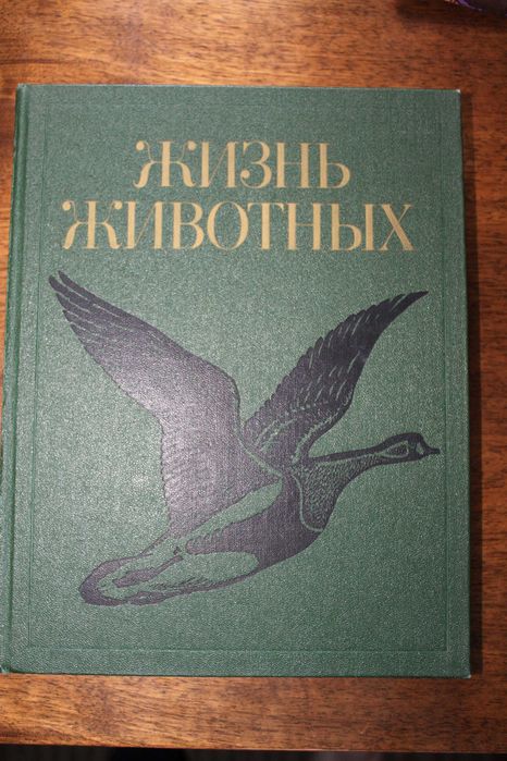 Книги = разная тематика