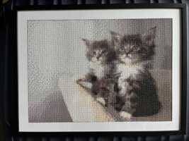 Obraz mozaika diamentowa 5D koty