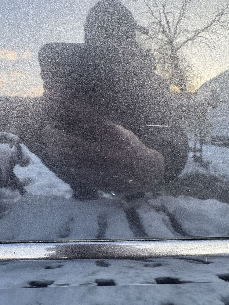 Drzwi Lewy Lewe Tył Tylne Brąz Grafit Audi A4 B7 Avant