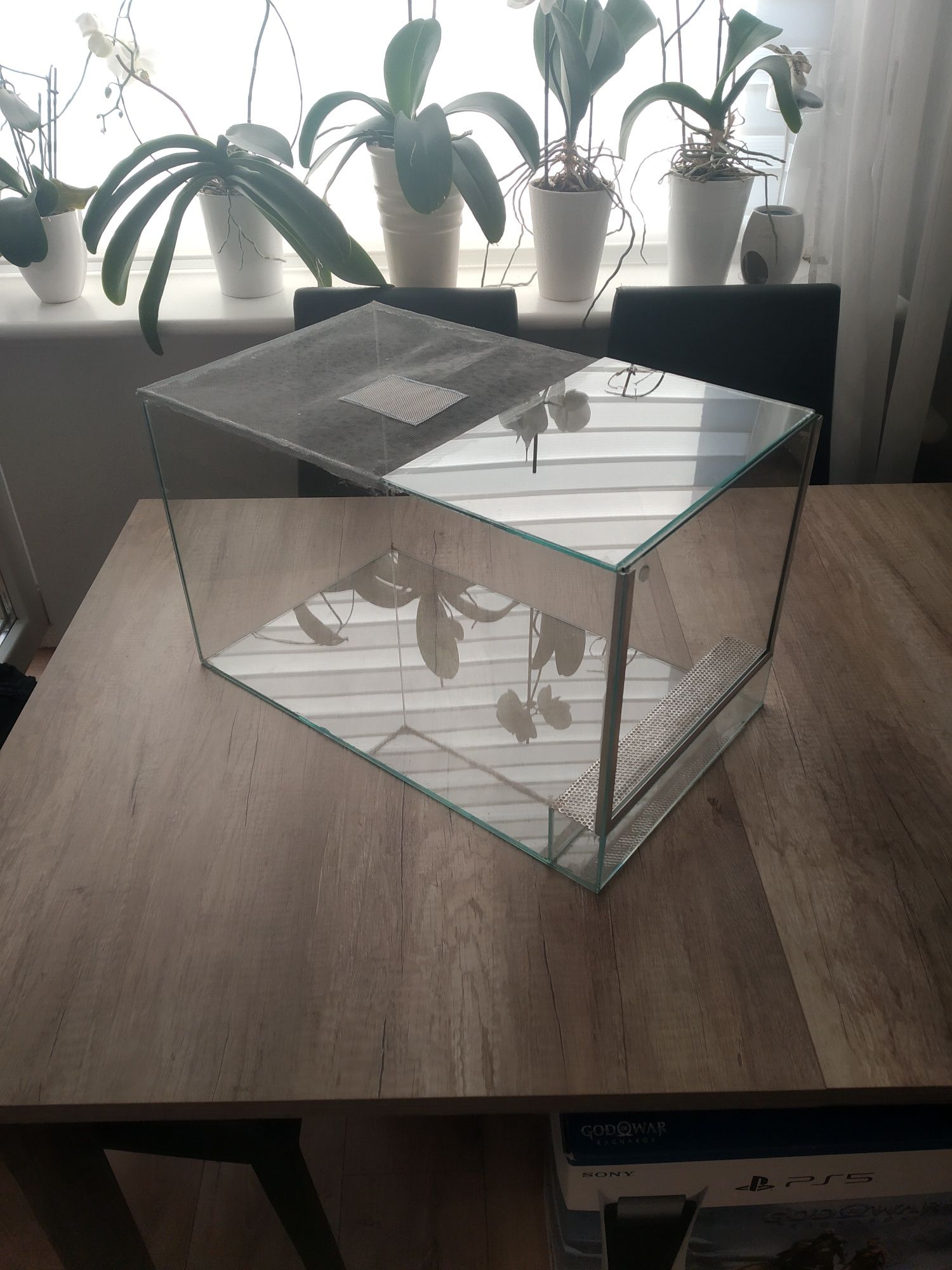 Terrarium gilotyna 30x50x31