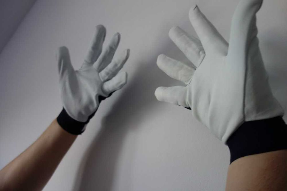 Rękawice robocze kozia skora LION TK Rozm. 10