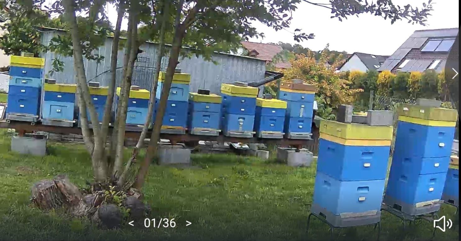 Miód z własnej pasieki