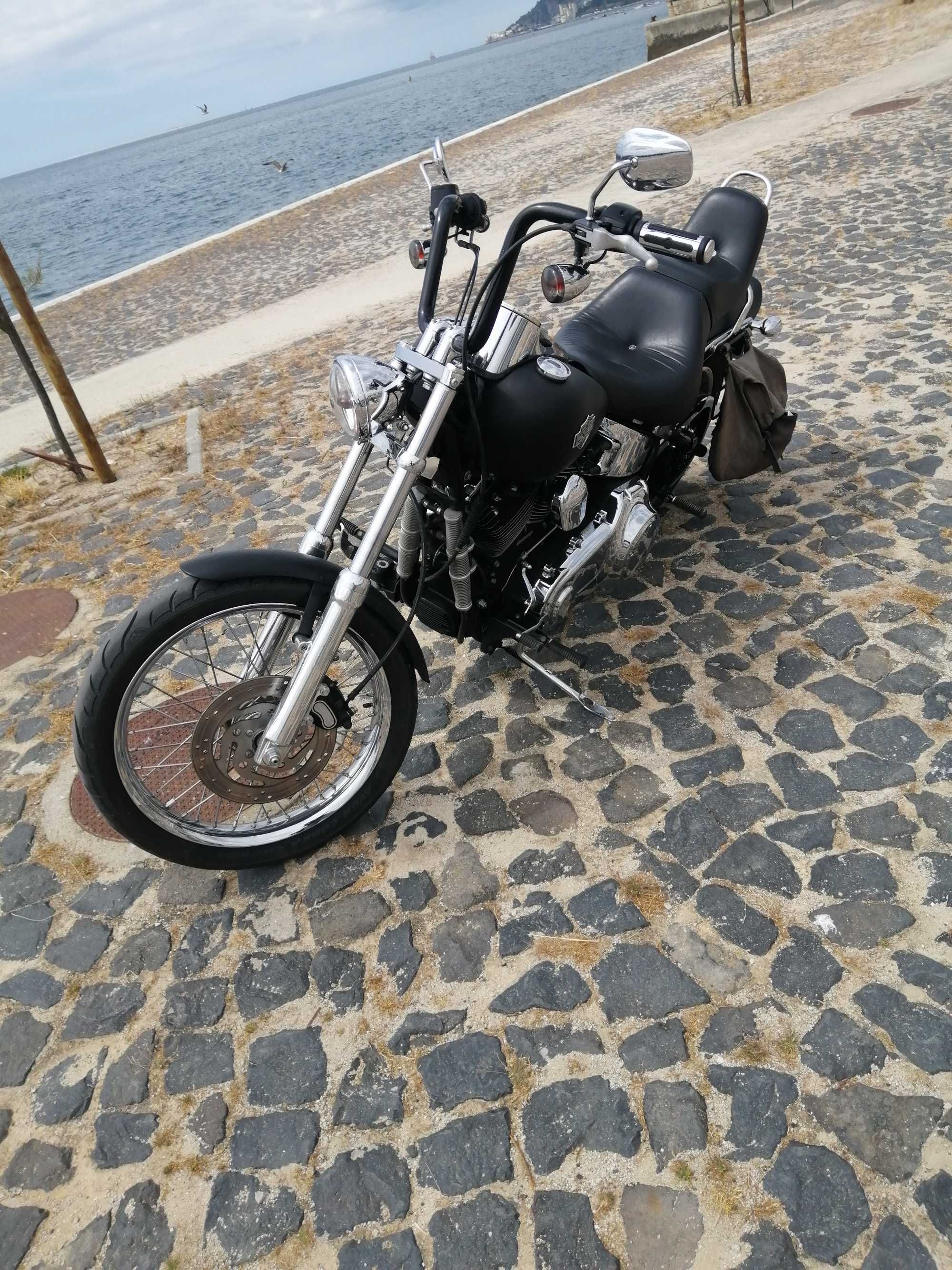Harley davidson softail custom
