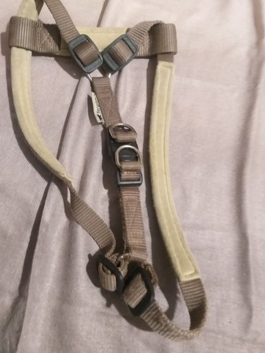 Переноска для собак ,пуходерки, машинка для стрижки собак