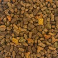 10kg Kiti pełnoporcjowa sucha karma dla kota w wołowina kurczak