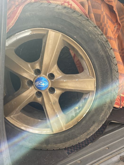 зимняя резина с дисками (цена за комплект) nokian haka 205/55 r16