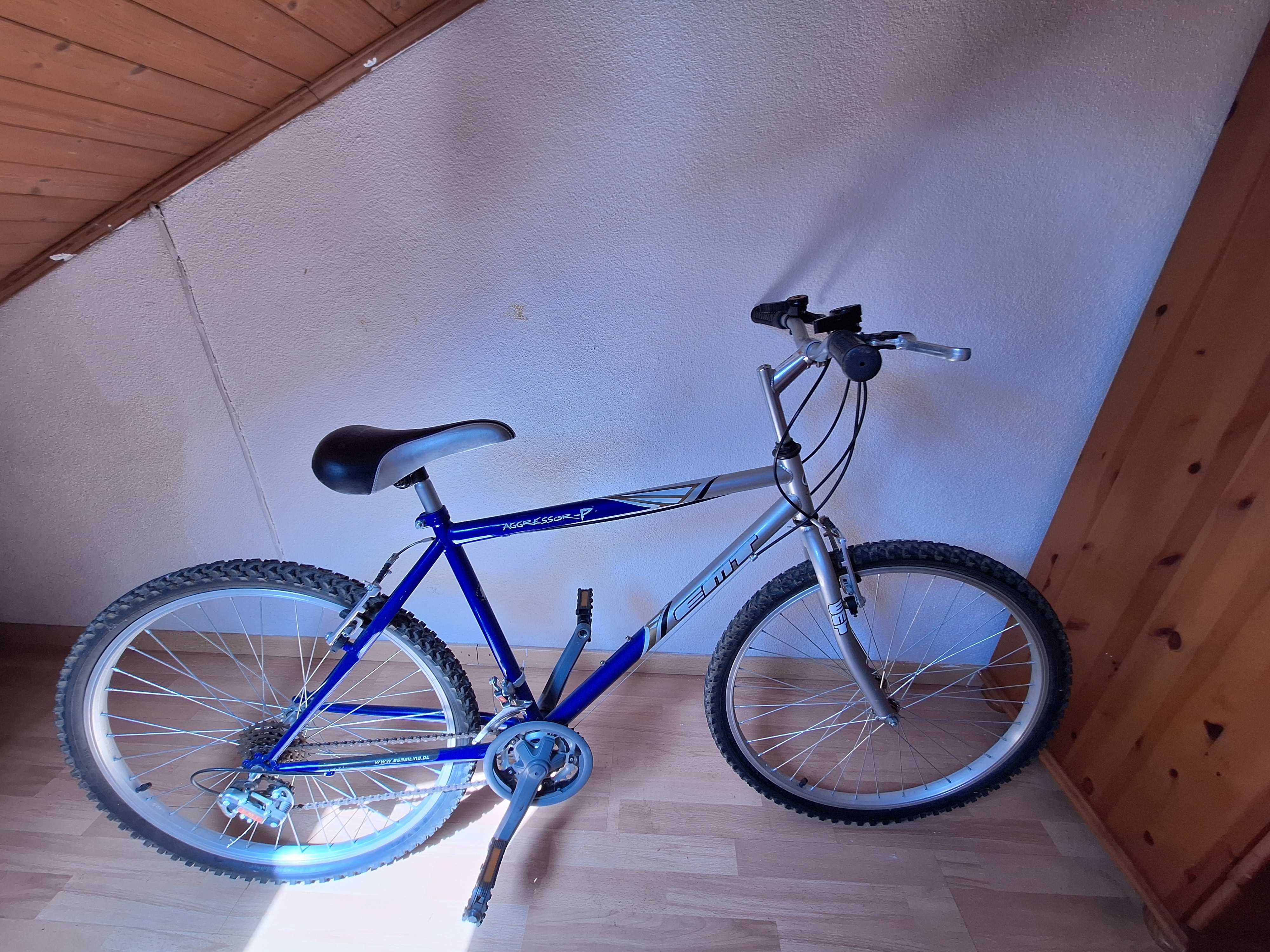 Bicicleta EMT Agressor-P