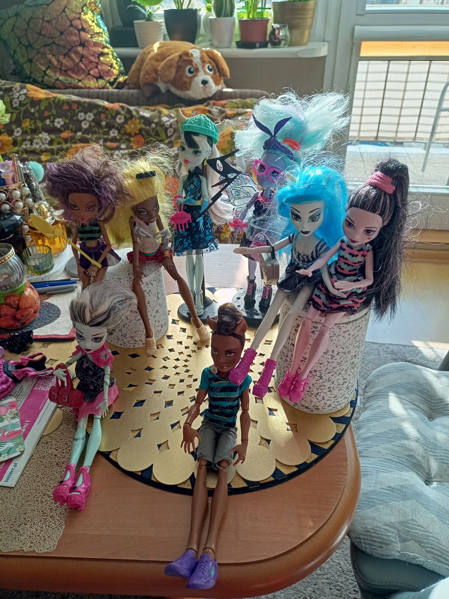 Lalki monster high z akcesoriami