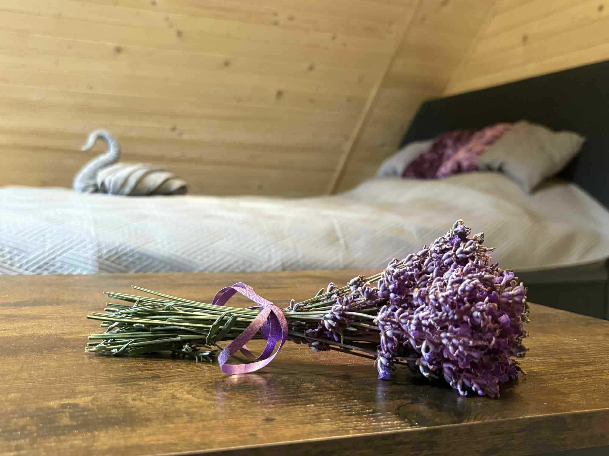 Noclegi Beskid Niski Domki Lawendowa Dolinka Domek na wyłączność