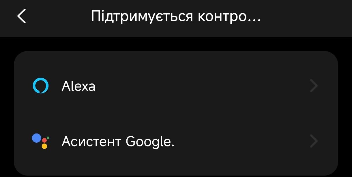 WiFi розетка 20А