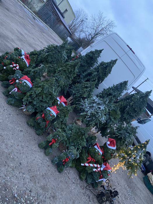 Ozdoby świąteczne z jodły – misie, choinki, stroiki