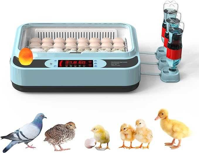 Inkubator automatyczny do jaj z ekranem LED -do 64 jaj