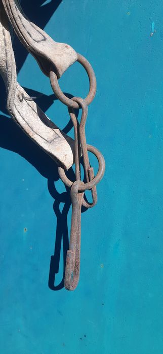 Вожжи ,  Конная  упряж.