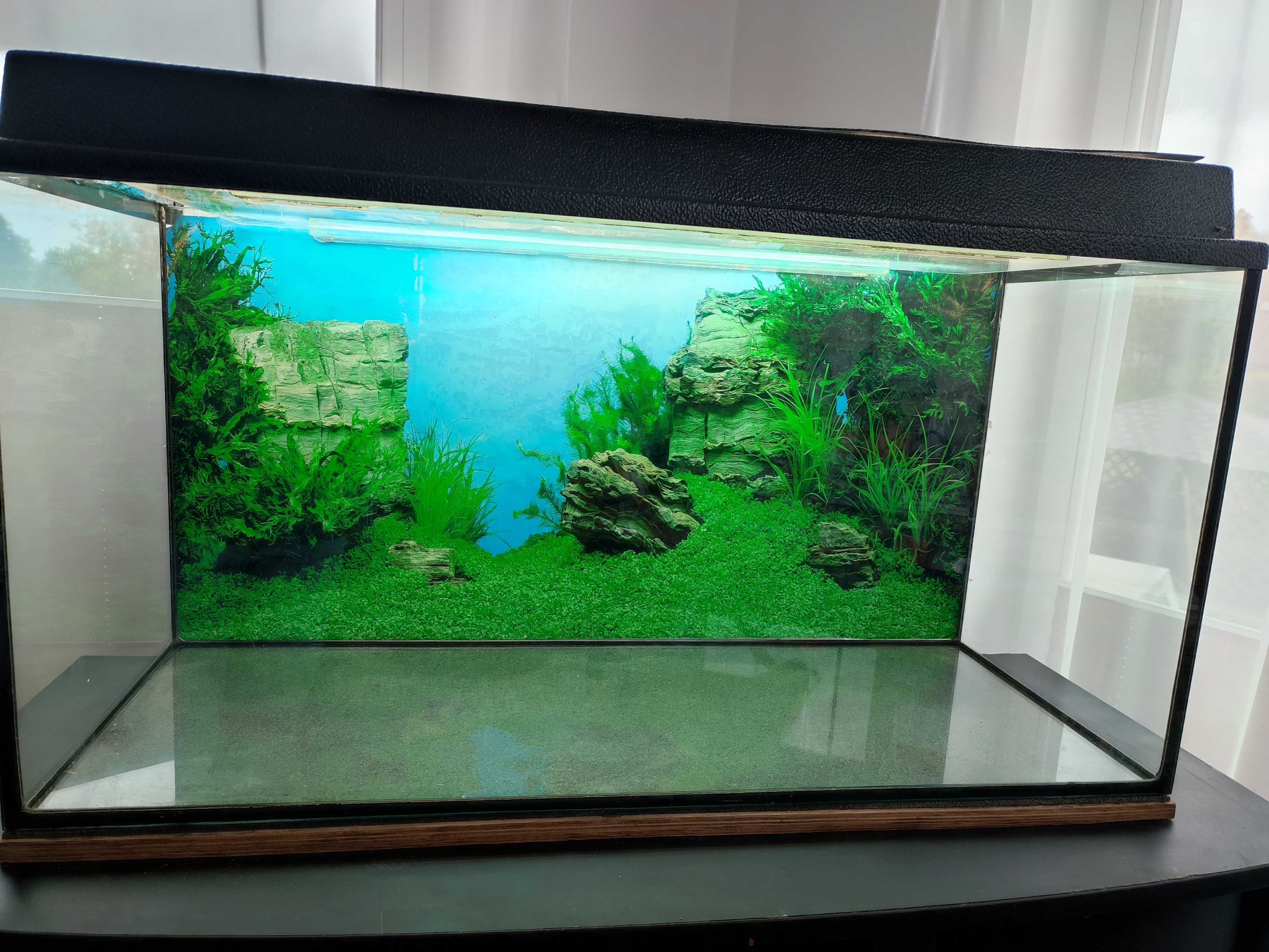 Akwarium 200L + Ffiltr Zewnetrzny 1150l/h + Szafka