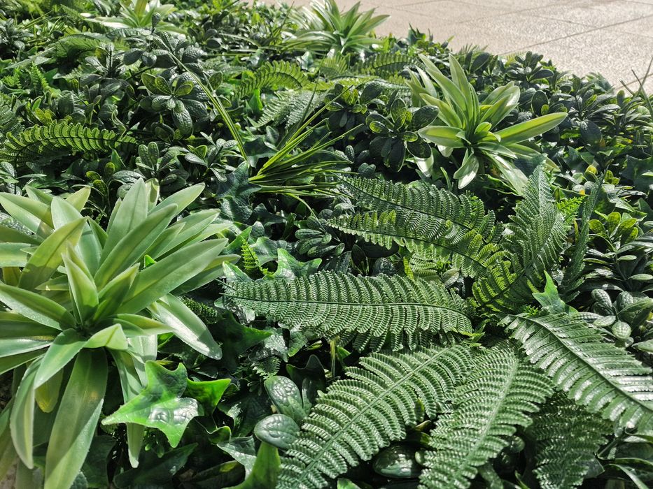 Jardim Vertical - Alta Gama - Protecção UV