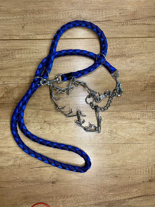 obroża AniOne + kolczatka + smycz 1,5m