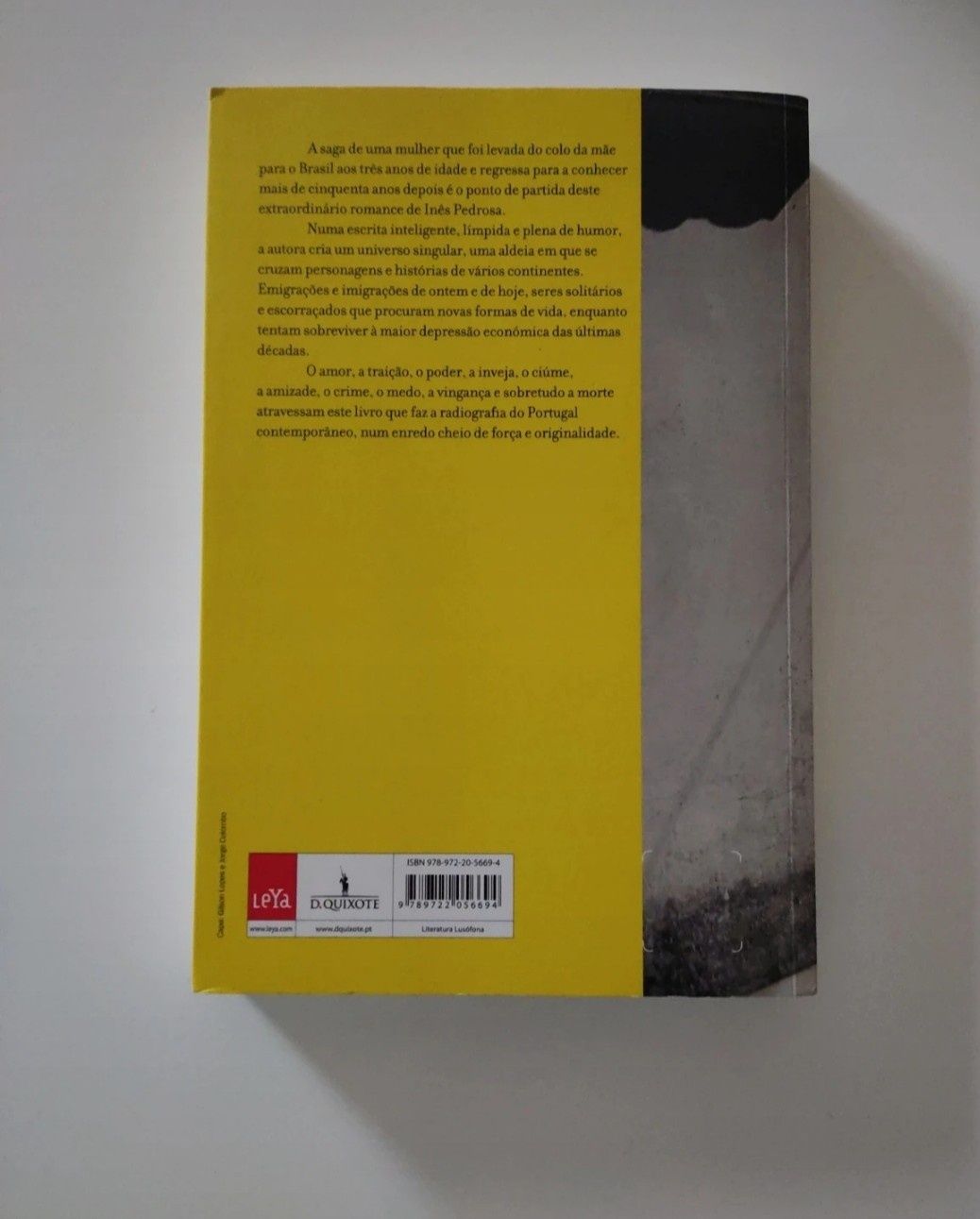 Livro Desamparo de Inês Pedrosa