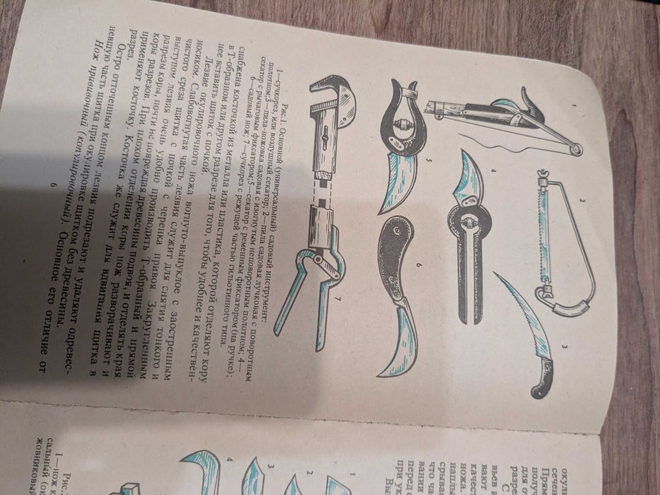 Опыты в школьном саду