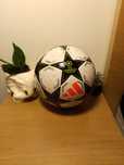 Piłka Champions League 2024