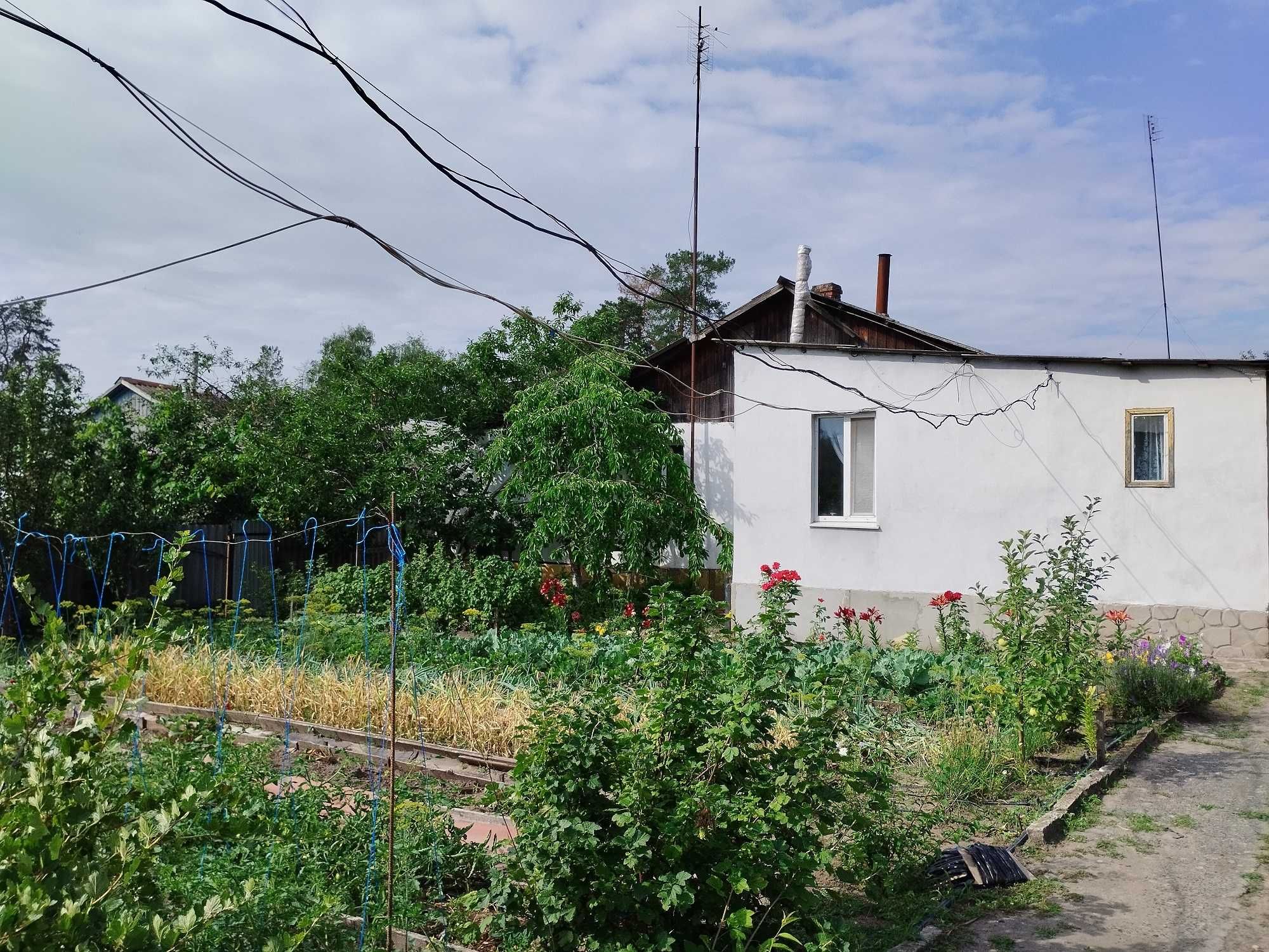 4-кімнатна квартира під лісом з ділянкою під дачу с.Українське