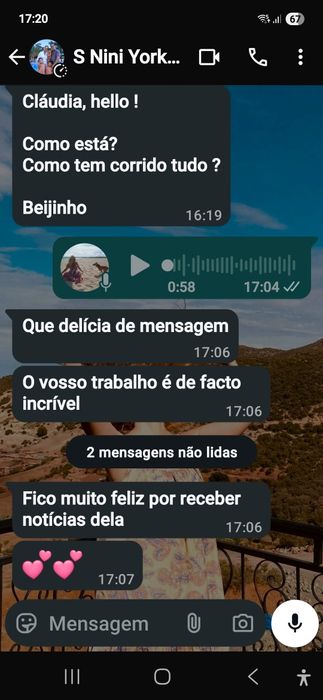 Estadia familiar canina creche