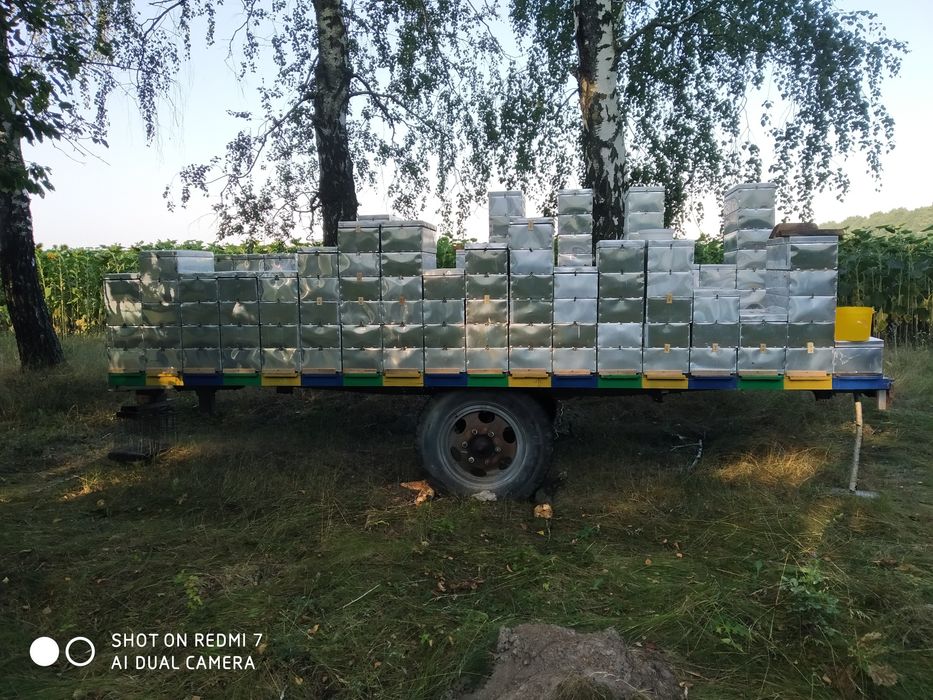 Бджолопавільон на 19 сімей