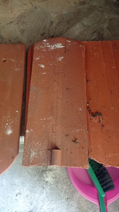 Dachówka ceramiczna   około 400 szt