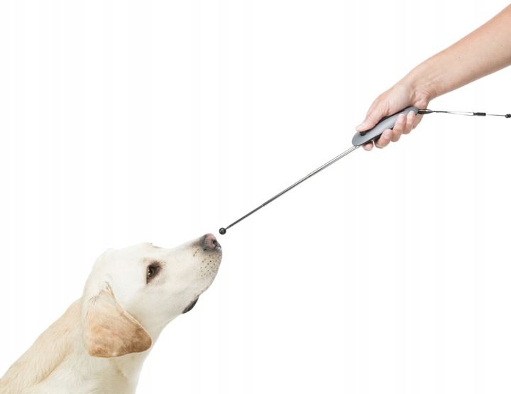 Kliker Clicker Klikacz Wskaźnik Do Szkolenia Treningu Psa Trixie Stick