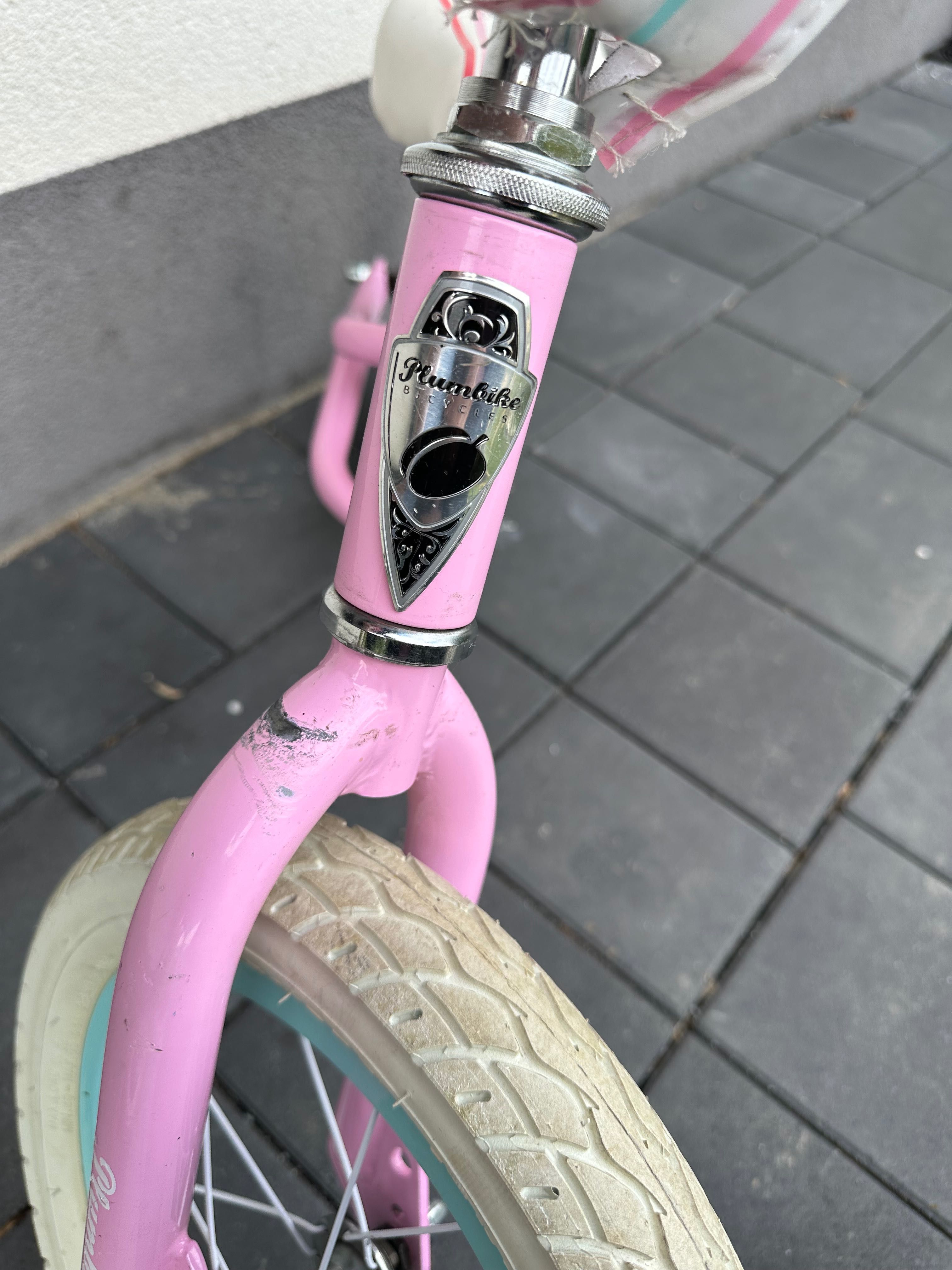 Rowerek biegowy Plumbike