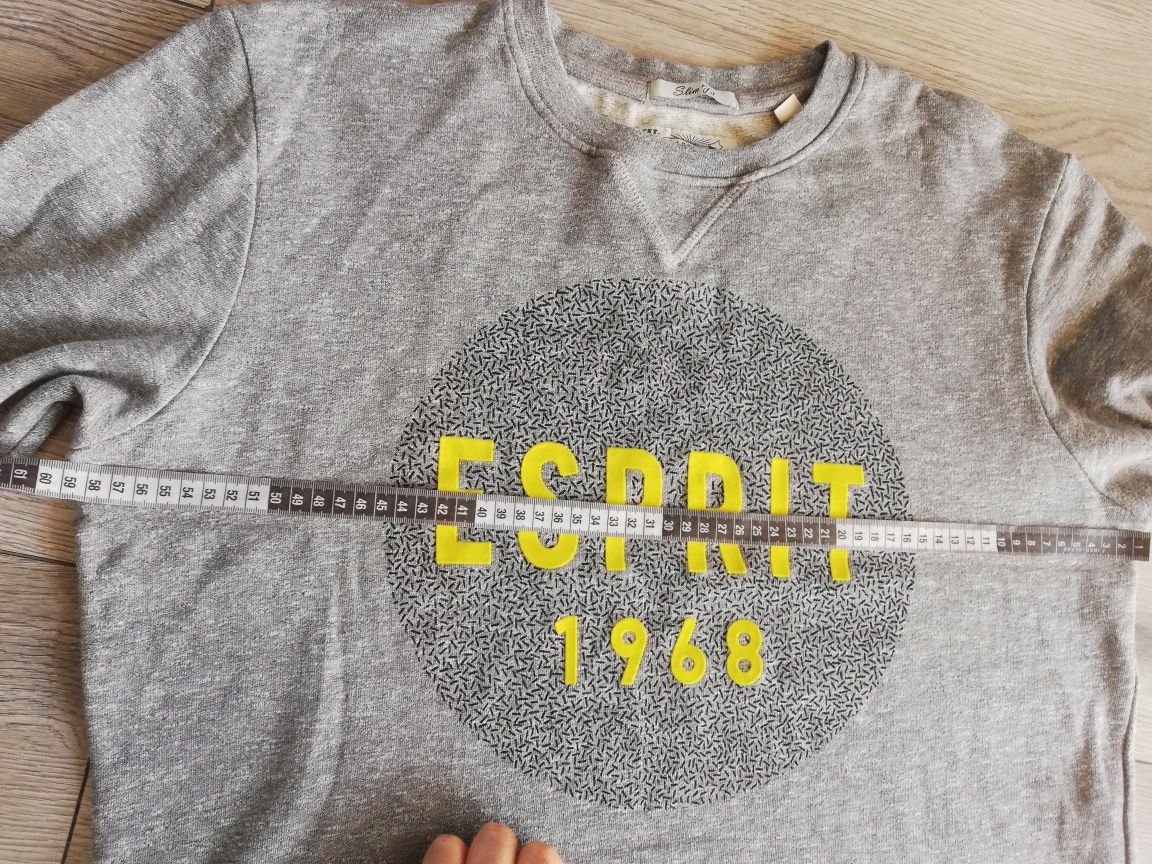Esprit R. XL męska szara bluza bez kaptura