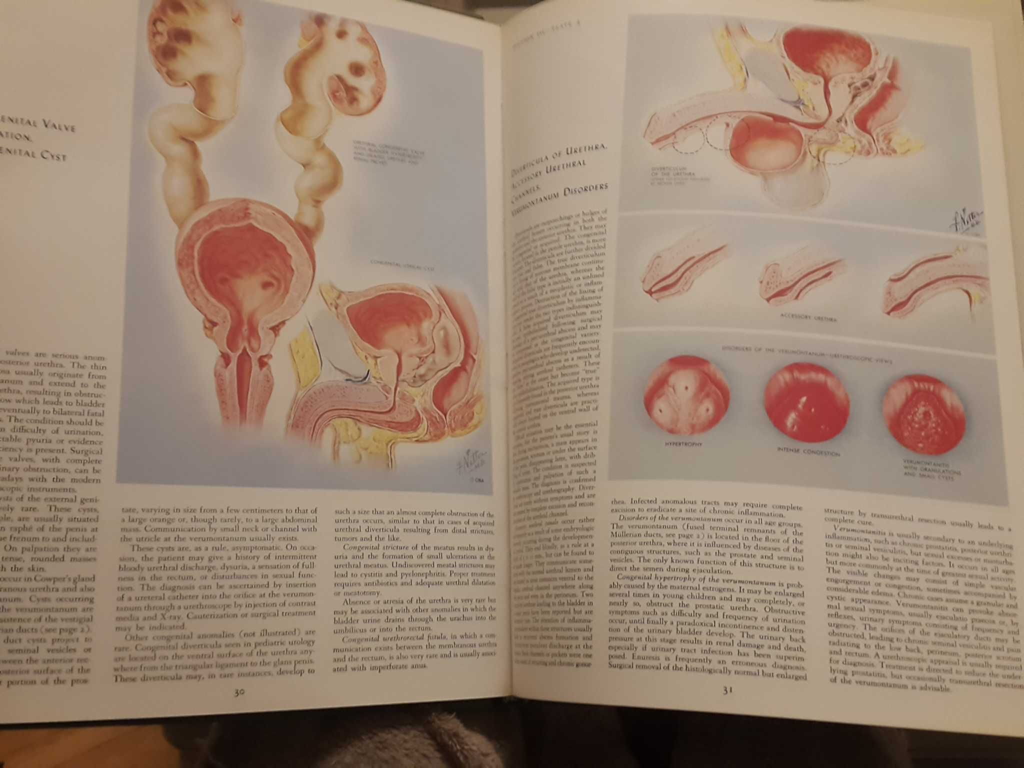 The Ciba Collection of Medical Illustration - 2. Reproductive System