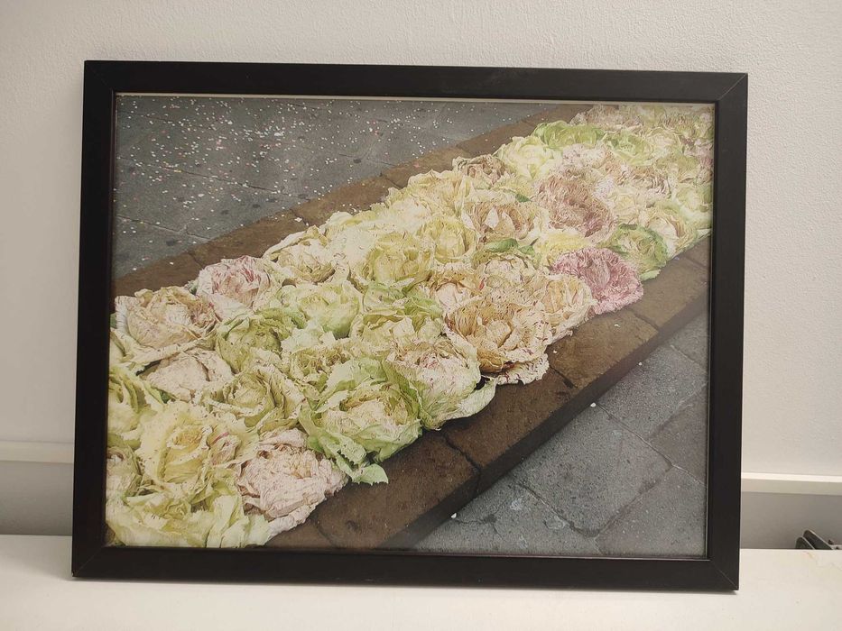 Molduras em madeira wengue com vidro 30x40cm - como novas