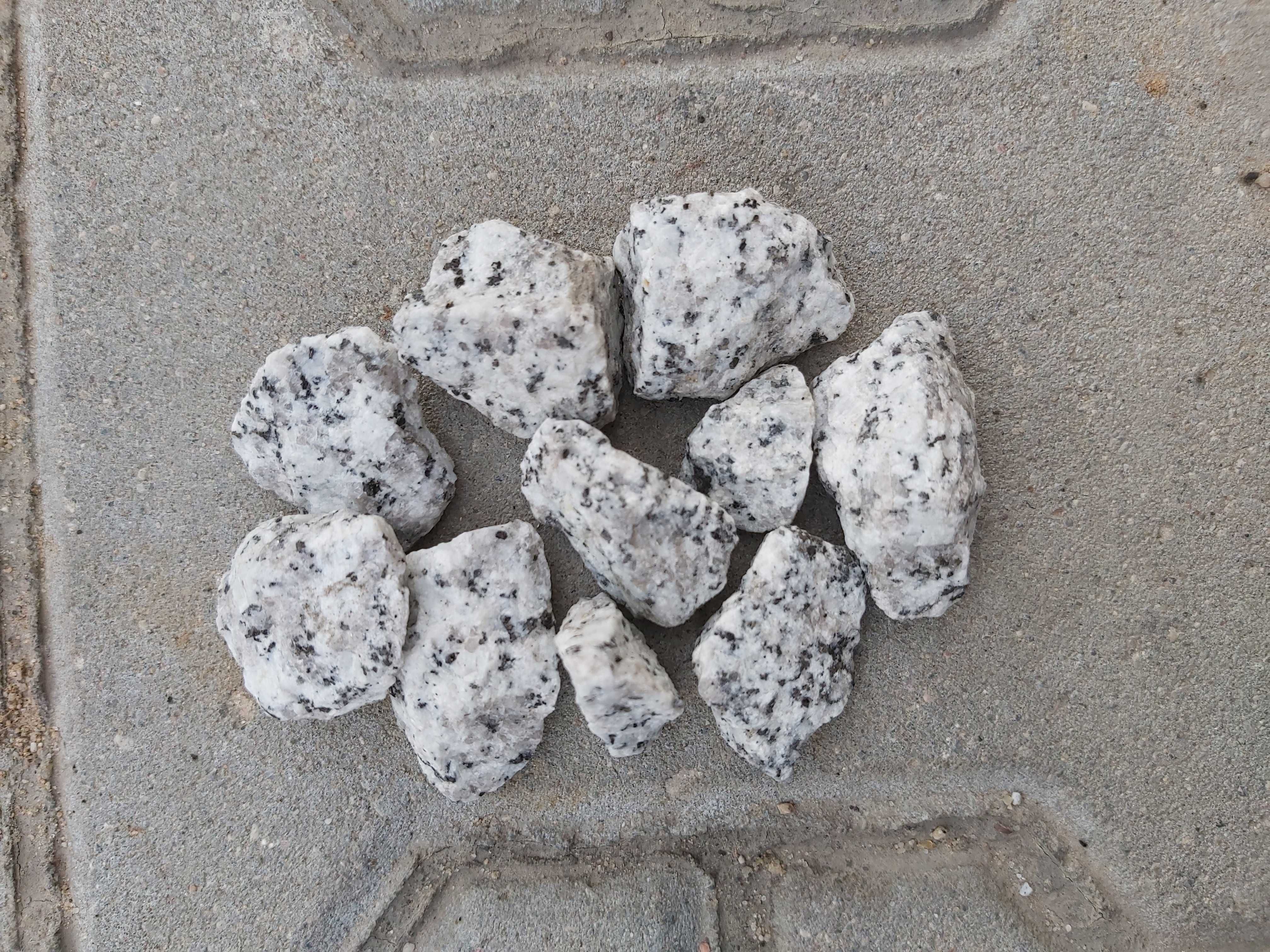 Grys dalmatynczyk, kamien ozdobny do ogrodu, granit Big-Bag