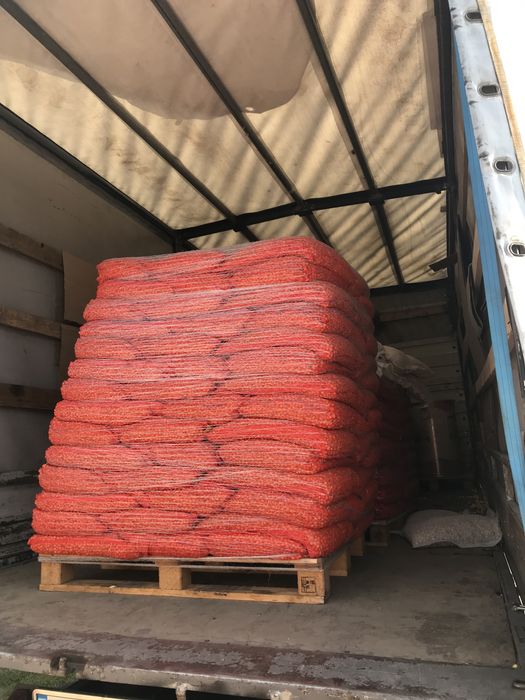 РОЗПРОДАЖ РАДАР!!! Цибуля озима голандська сівок ГУРТ Голандія