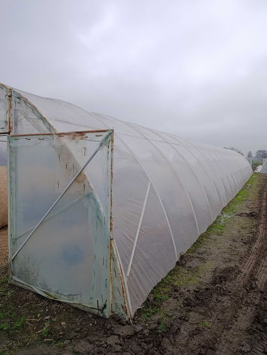 Tunel foliowy 30 / 7 / 3