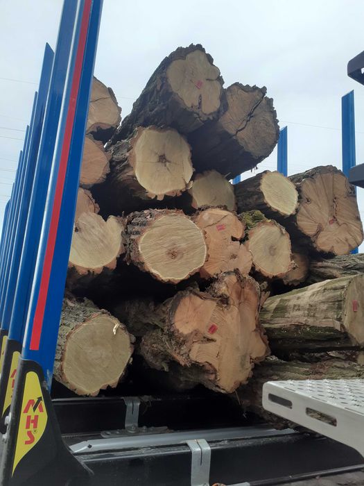 Drewno opalowe BUK Brzoza Grab Jesion Akacja.