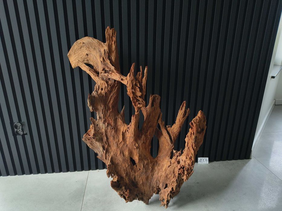 Korzeń MANGROWCA XXXL 1008 akwarium terrarium 210x140x40 Unikat Duży