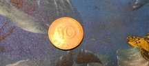 Moneta Niemiecka 10 pfennig 1976,1980