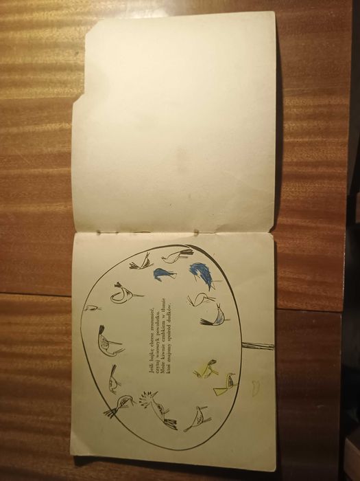 Każdy dudek ma swój czubek - Stanisław Średnicki