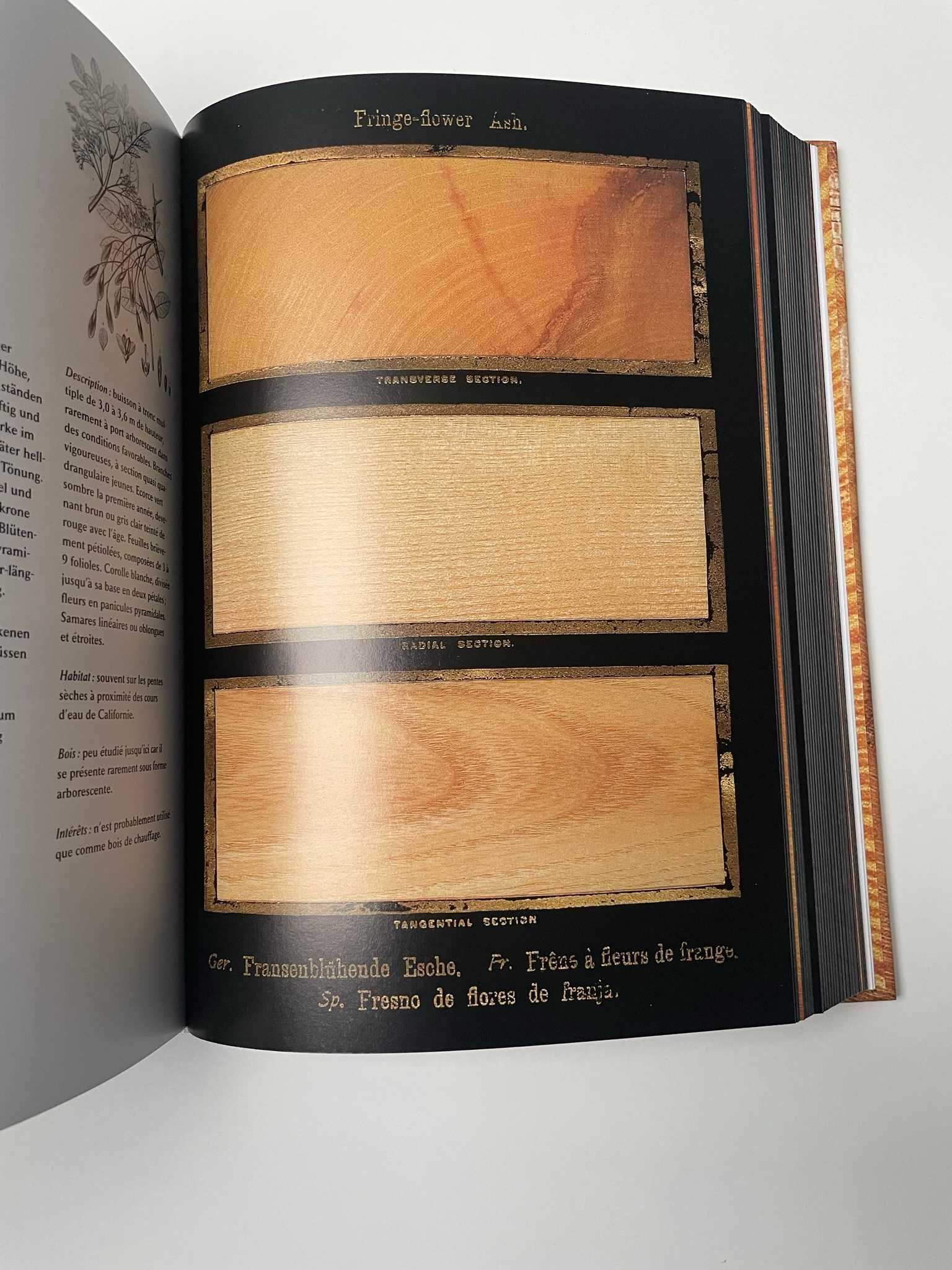 The Woodbook - wydawnictwo TASCHEN