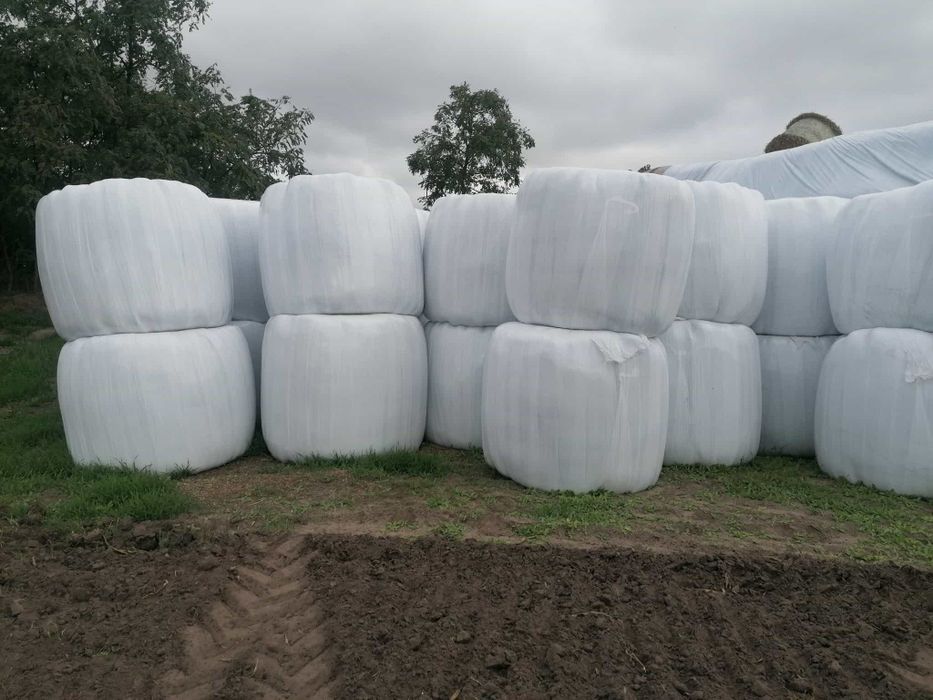 Sprzedam sianokiszonkę i słomę