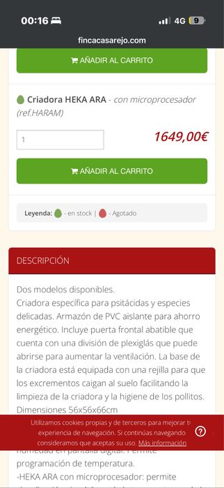 Maternidade inca lori 10