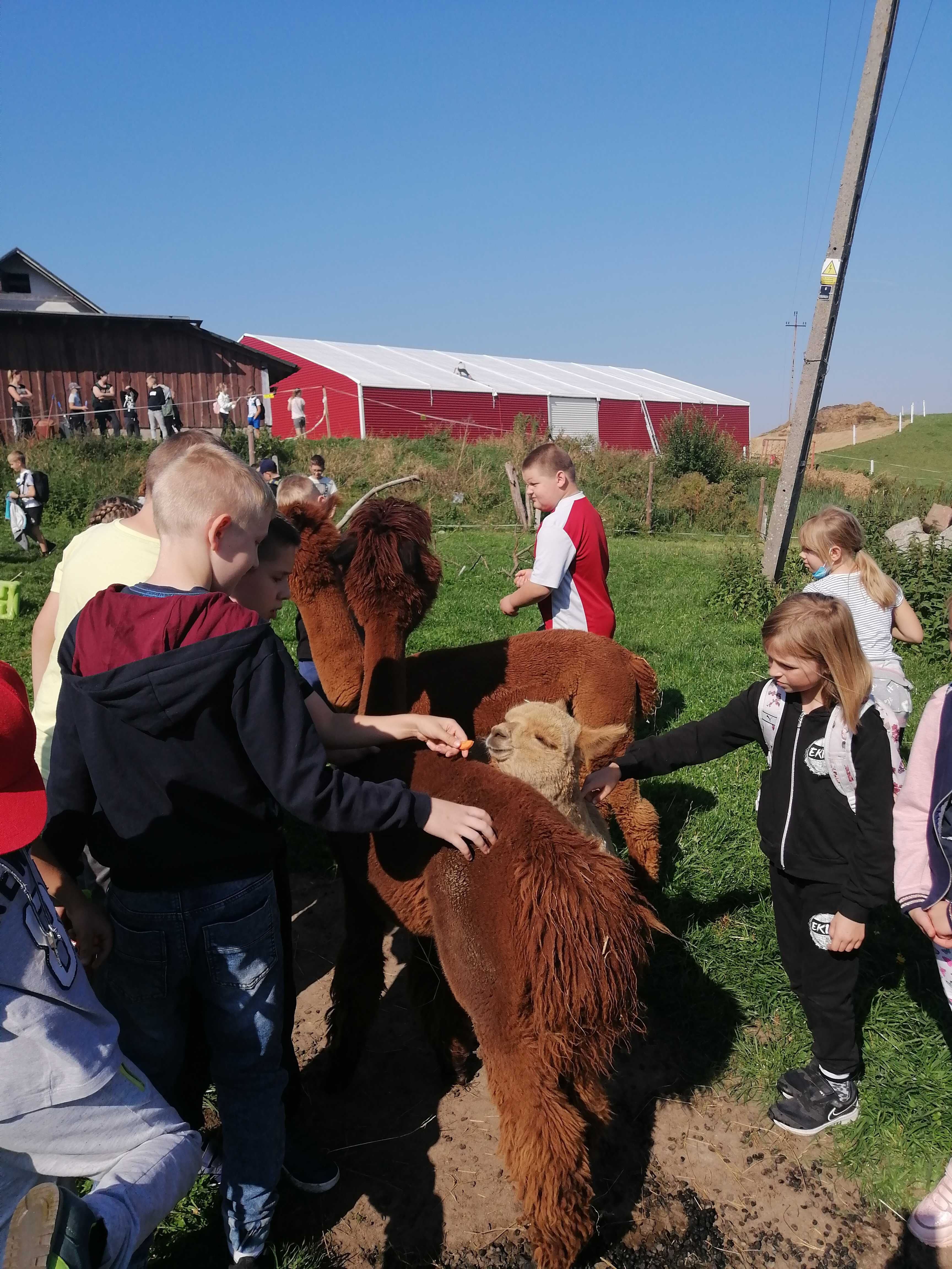 Domek do wynajęcia  2-5 osobowy  JAZDA KONNA Stawy rybne Stajnia Fiord