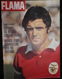 Benfica - Artur Jorge - Flama 1971